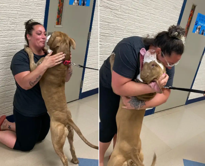 Pittie Reunites With His Mom After 2 Years Apart