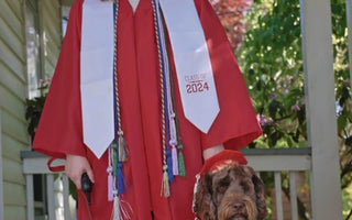 Service Dog Celebrates High School Graduation in Custom Cap and Gown