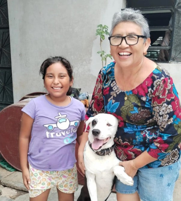 Lost Dog Found Thanks to Child's Drawing