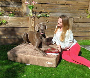 Forever Love: Keeping Your Dog Healthy for a Lifetime