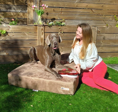 Forever Love: Keeping Your Dog Healthy for a Lifetime