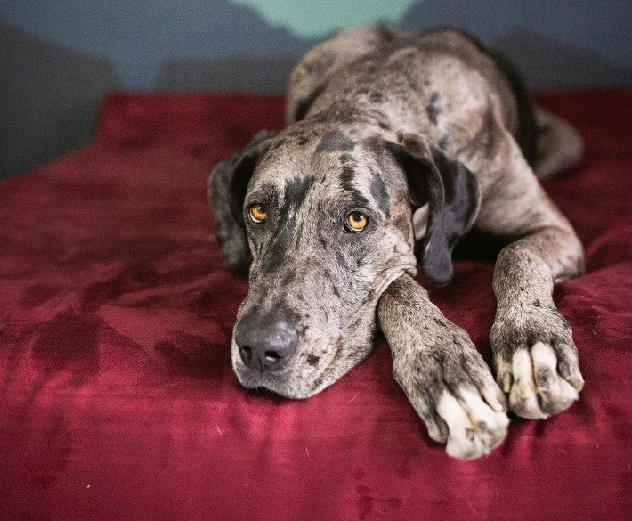 Rest and Recovery for Healthy Hearts