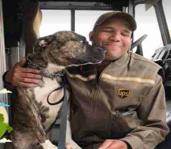 UPS driver decided to adopt shelter dog who jumped into his truck and did not want to leave
