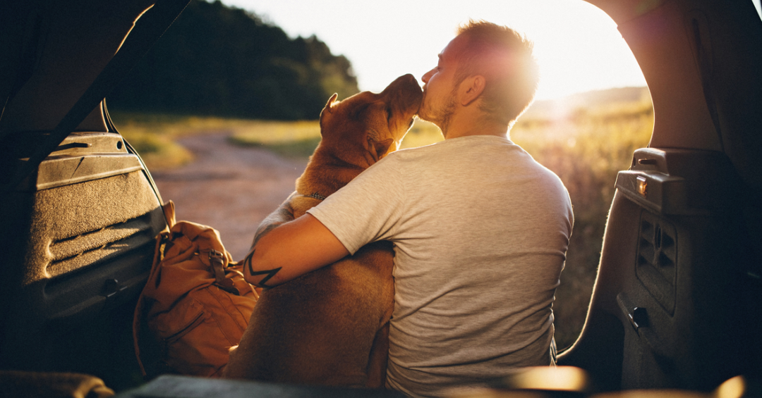 Essential Tips for Traveling with Your Dog