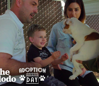This Pittie Was Pregnant In A Shelter When She Found The Best Family