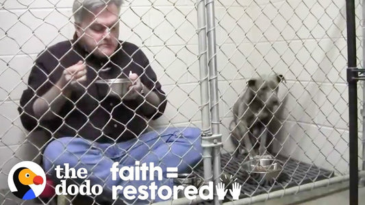 Vet Eats In Rescue Dog's Cage To Make Her Feel Safe.