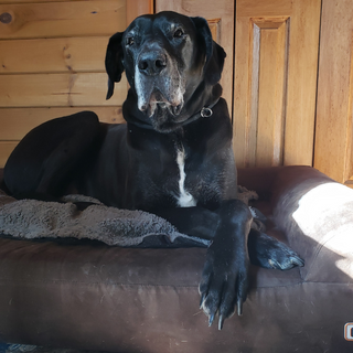 Why Wesley & Liesl Will Always Have a Barker Bed