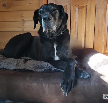 Why Wesley & Liesl Will Always Have a Barker Bed