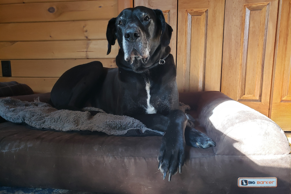 Why Wesley & Liesl Will Always Have a Barker Bed