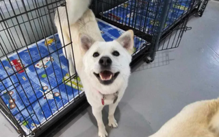 Aurora’s Long Road Home: A Journey from Fear to Forever
