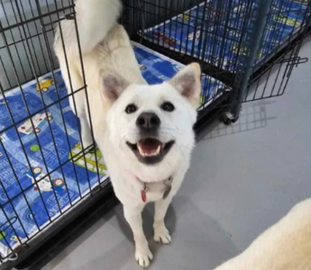 Aurora’s Long Road Home: A Journey from Fear to Forever