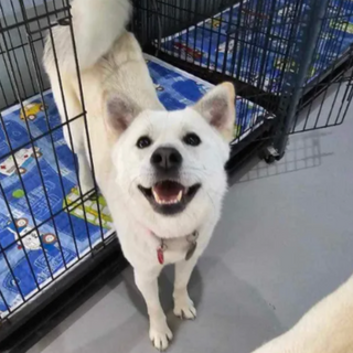 Aurora’s Long Road Home: A Journey from Fear to Forever