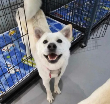 Aurora’s Long Road Home: A Journey from Fear to Forever