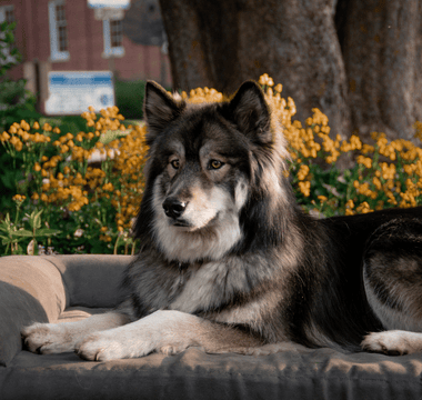 Mobility Friendly Fall Adventures