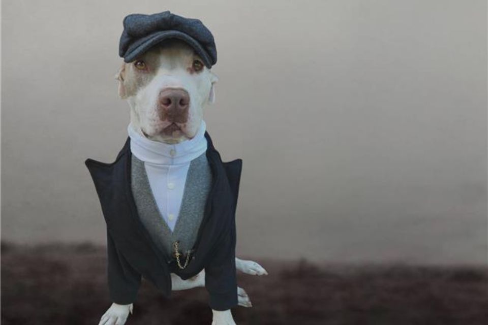 Halloween Costume Contest Winners 2025