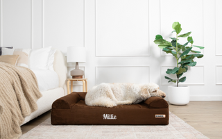 a dog laying on a chocolate barker bed embroidered with the name millie in a bedroom