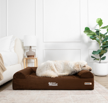 a dog laying on a chocolate barker bed embroidered with the name millie in a bedroom