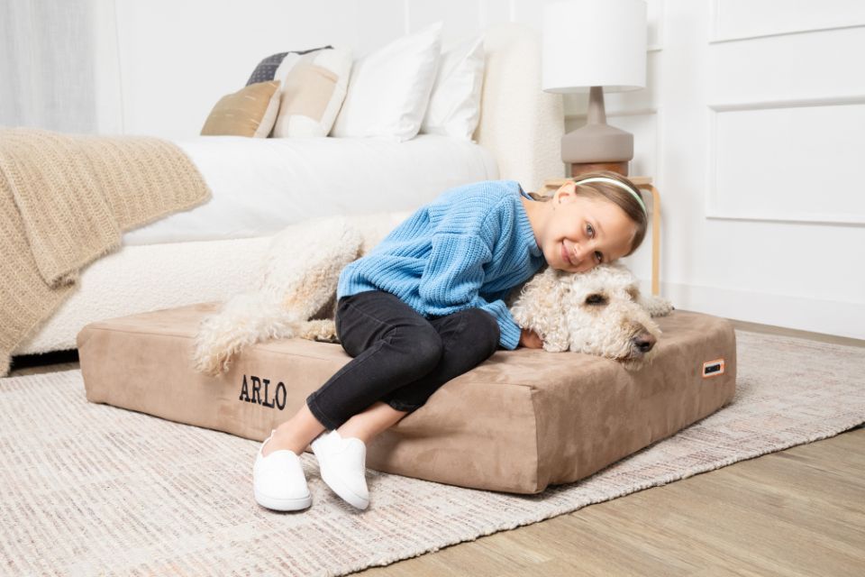 Spotting the Early Signs of Canine Arthritis