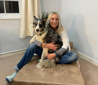 Canine Arthritis Management and Big Barker Live