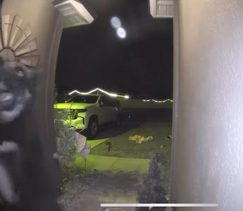 dog ringing doorbell