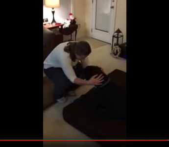 Unboxing a GIANT Big Barker Dog Bed!