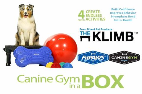 Top Ten Holiday Gifts for Your Big Dog