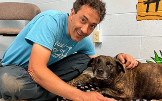 Dog Miraculously Rescued from Cave