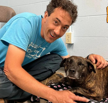 Dog Miraculously Rescued from Cave