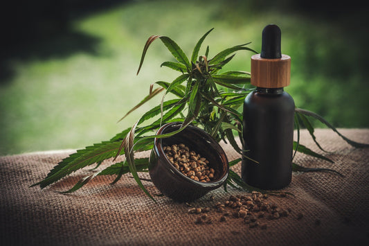 What are the Side Effects of CBD Oil for Dogs?