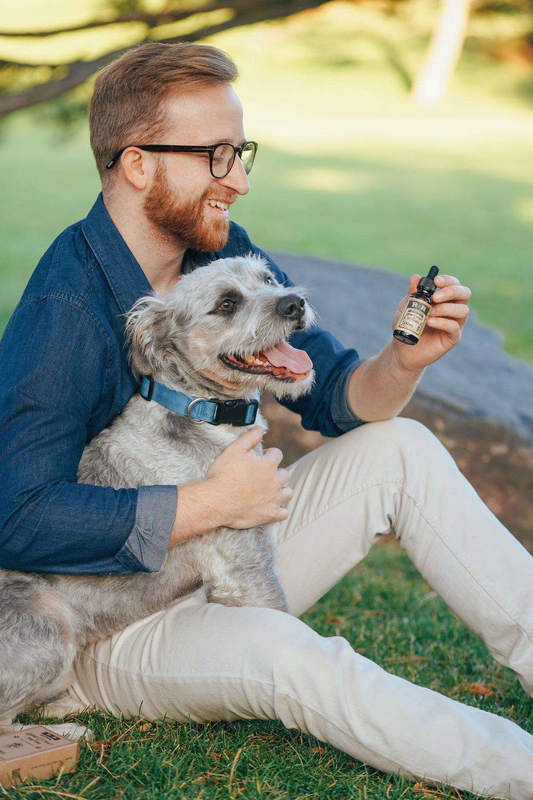 Is CBD Oil Good for Dogs with Joint Pain?