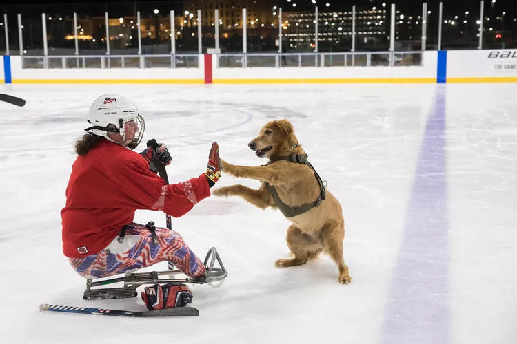 Army Veteran Trains Service Dogs to Help Others in Need