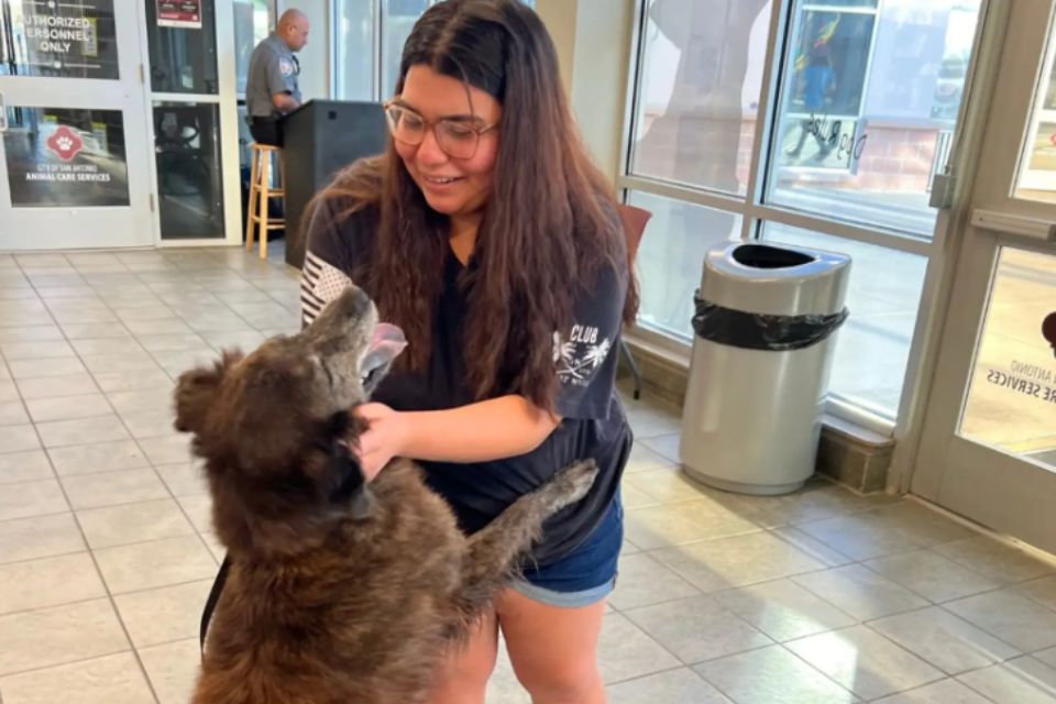 A Joyous Reunion Between a Lost Dog and Her Mom