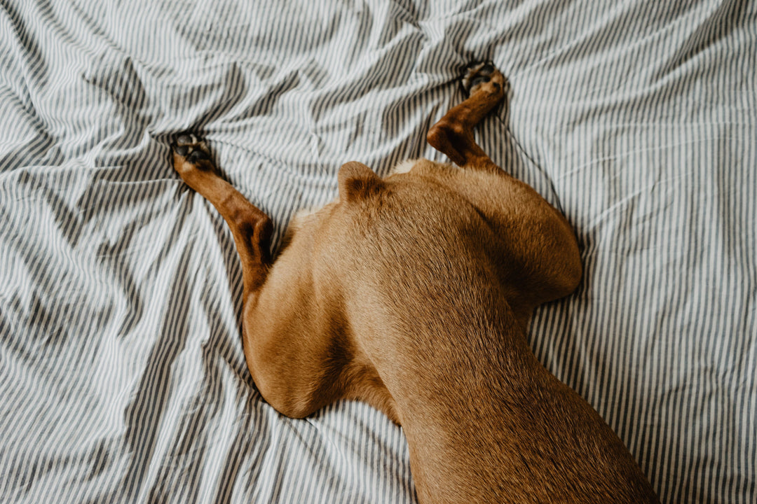 What’s the Most Important Feature of Osteoarthritis Treatment Plans?