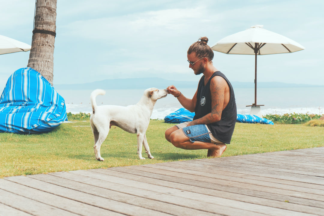 Top 5 Exercise Routines For Dogs of All Ages