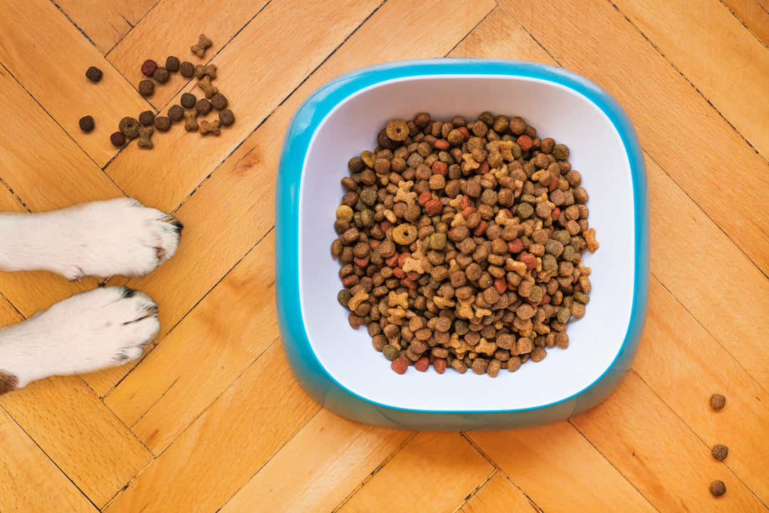 5 Insanely Tasty Homemade Dog Food Recipes