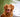 The Importance of Preventive Pet Healthcare