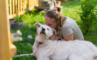 Essential First Aid Skills for Pet Owners
