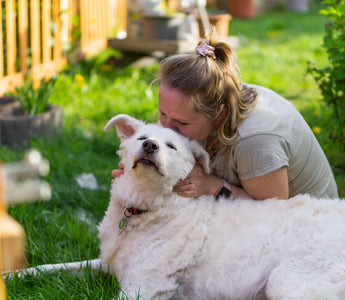 Essential First Aid Skills for Pet Owners