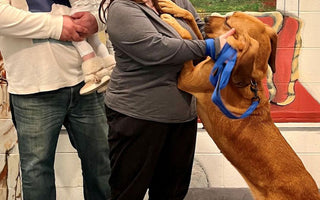 After Two Years, Dog Rescued From Puppy Mill Returns Home