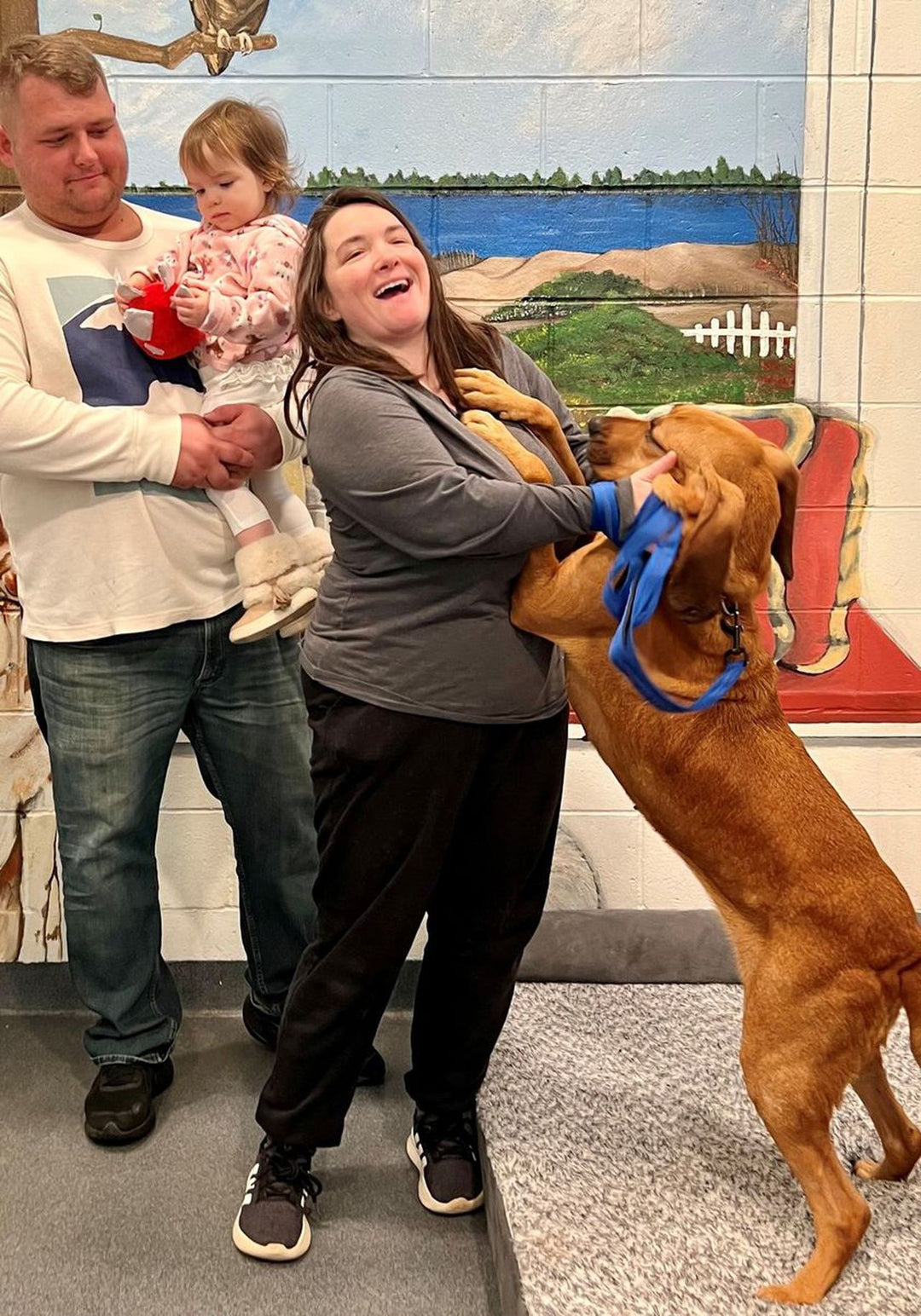 After Two Years, Dog Rescued From Puppy Mill Returns Home