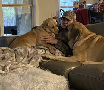 Neighborhood Dogs Build a Special Bond with Local Man
