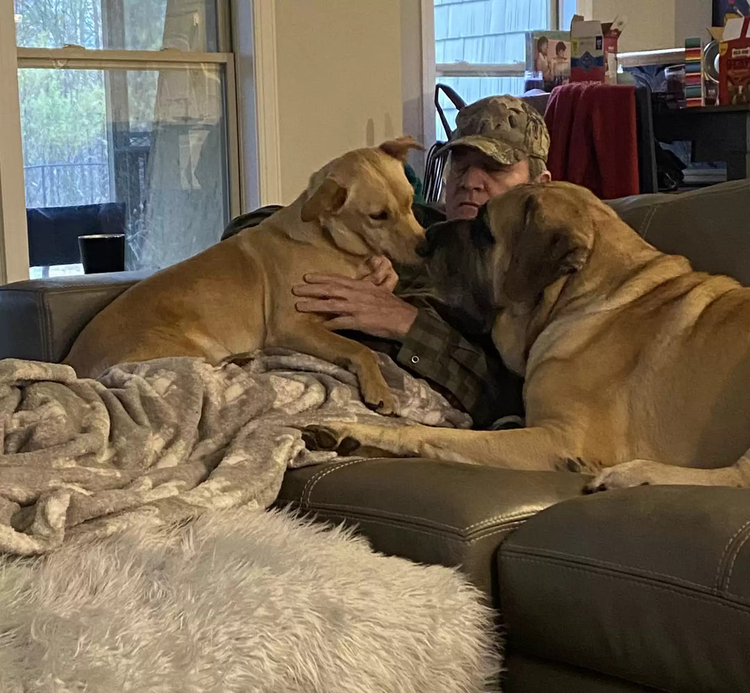Neighborhood Dogs Build a Special Bond with Local Man