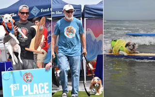 Totally Wicked Dogs Show Out in Surf Competition