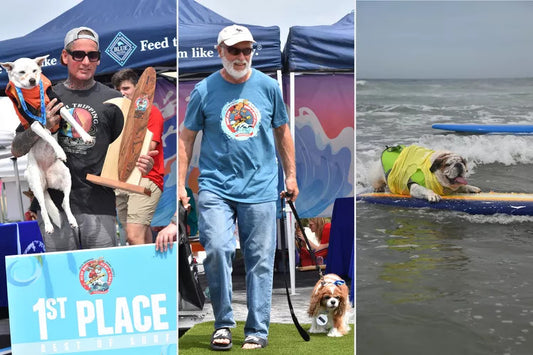 Totally Wicked Dogs Show Out in Surf Competition