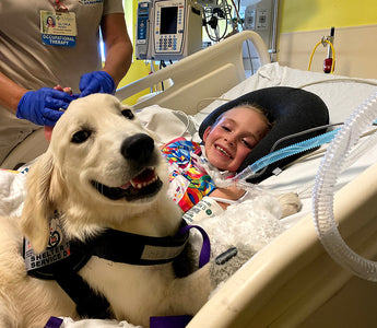 8 Year Old Girl Paralyzed in Accident Gains a New Service Dog Best Friend
