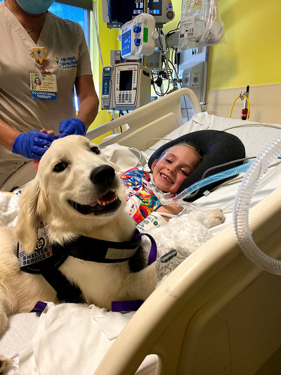 8 Year Old Girl Paralyzed in Accident Gains a New Service Dog Best Friend