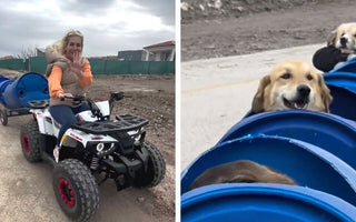 Woman Builds 'Dog Train' To Take Disabled Rescue Pups On Little Adventures