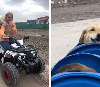 Woman Builds 'Dog Train' To Take Disabled Rescue Pups On Little Adventures