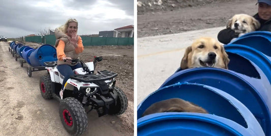 Woman Builds 'Dog Train' To Take Disabled Rescue Pups On Little Adventures