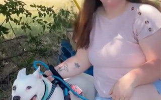 Dog in Texas Finds a Home After 10 Years in the Shelter